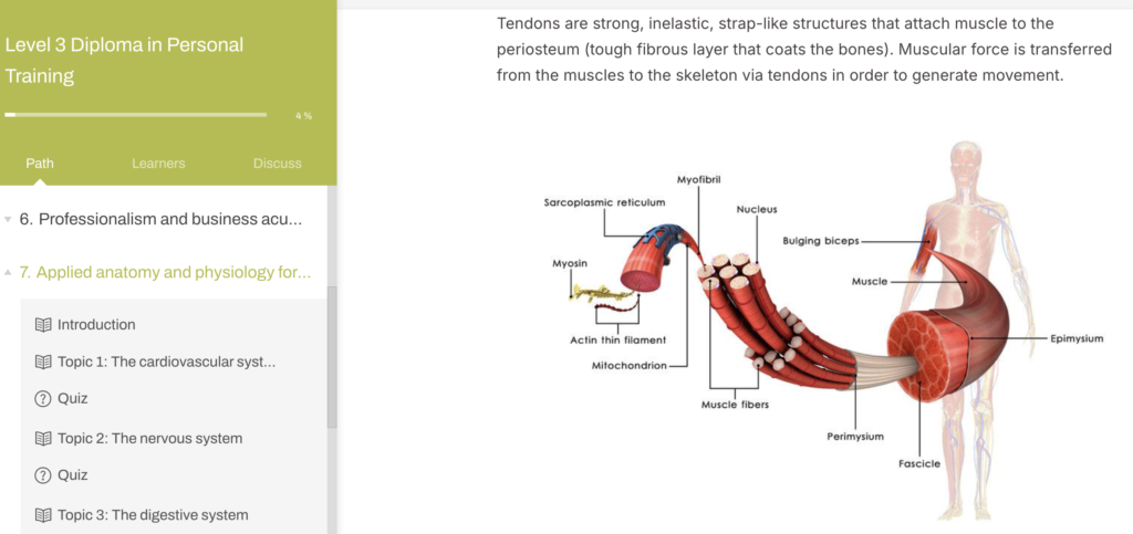 anatomy module level 3 pt course